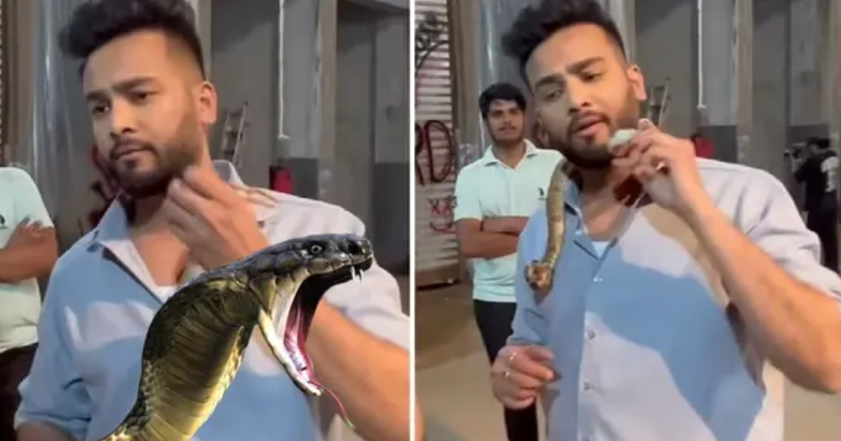 Bail granted to YouTuber Elvish Yadav in snake venom smuggling case